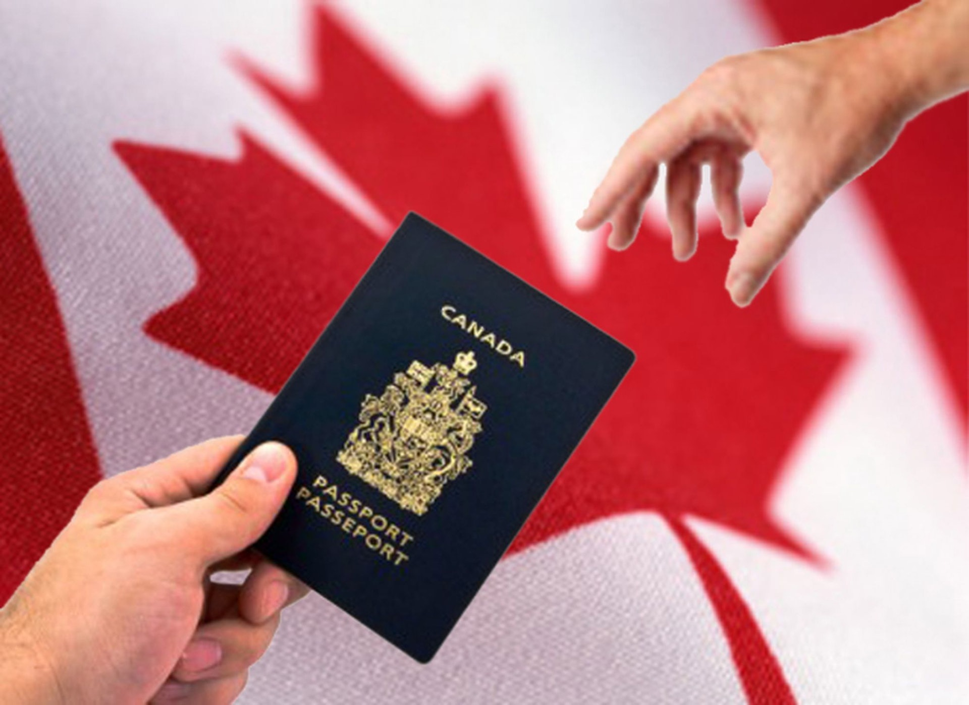 加拿大護照申請