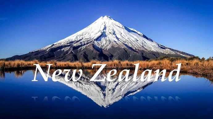 新西蘭活躍投資者簽證